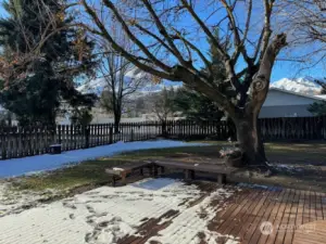 parklike backyard with a view of Castlerock