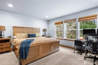 Primary bedroom looks out to backyard with luxury bath and walk-in closet