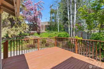 Back Yard Deck Soaks in the Lush Landscaping