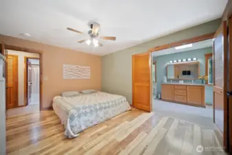 Primary bedroom with walk-in closet.