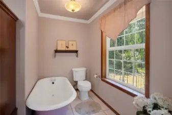 Primary bathroom soaking tub.  BEAR CLAW TUB!