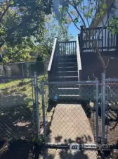 Gated yard to back door with fruit trees, cherry, pear and peach