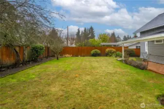 Backyard is mostly fenced and has plenty of room for a garden. It currently offers apple, pear, and plum trees.