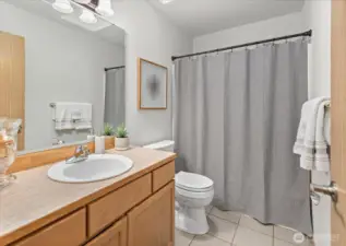 Skylight in the main bath.
