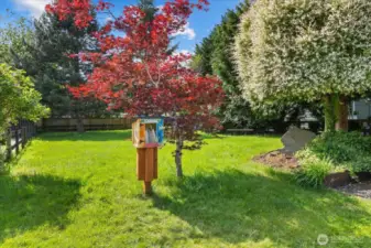 Little Free Library in the common area park as well.