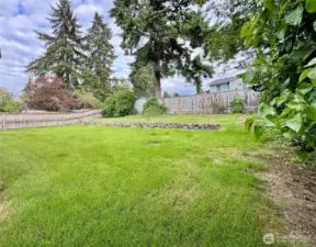 Spacious backyard