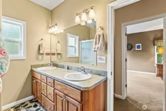 Comfort height vanity w/double sinks