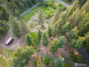 Garden and Fruit Trees