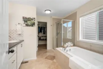Primary bathroom featuring a soaking tub, spacious shower, and a large walk-in closet.