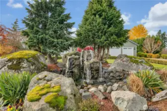Front Yard Water Feature!