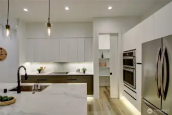 Walk-in Pantry in the back ground.