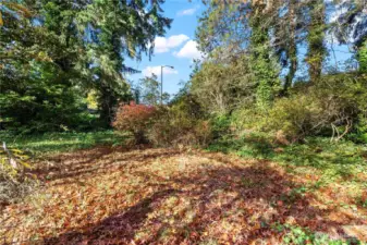 Flat area on the lot