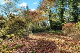 Flat area on the lot