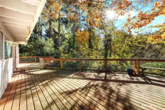 Large deck was replaced around 2017