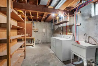 Downstairs area storage with furnace and hot water heater