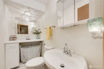 The primary half bathroom, if you removed that counter you have a nice shower installed there making it a 3/4 bathroom.