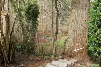 Established trail leading to the creek on the lower property.