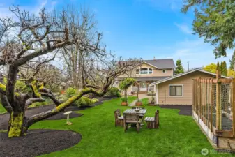 The level backyard includes fruit trees and an enclosed area with raised garden beds.
