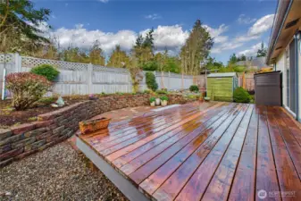 Back deck in fenced yard