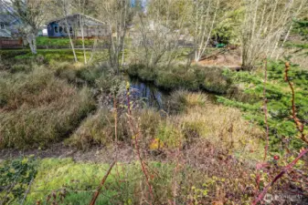 Green space behind the back fence