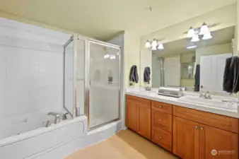 Primary bathroom with dual sink vanity