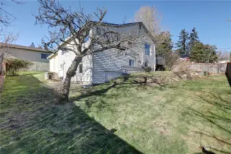 Large, fully fenced and sunny backyard