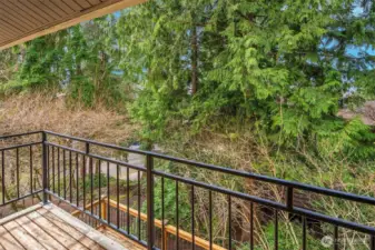 Balcony off the bonus/rec room.