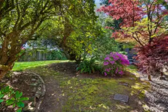 Lush, mature vegetation