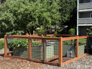 Community garden.