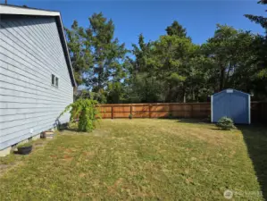 Side Yard with Garden Shed