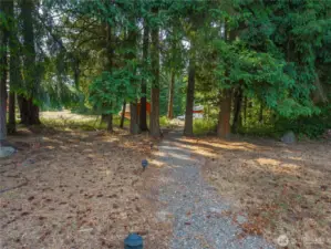 Trails throughout the trees on the property.