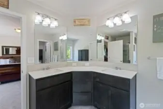 dual sinks