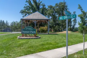 Community Park