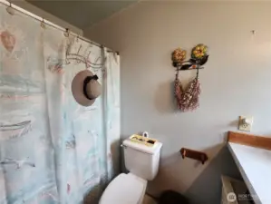 Full bath with bathtub