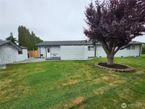Back of house and large yard
