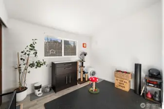 South facing bedroom.