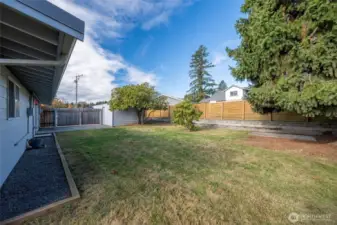 Two patio spaces in the backyard, one tucked underneath a gorgeous evergreen tree.