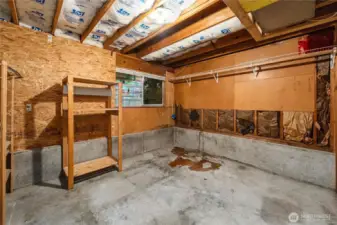 Extra storage/hobby room off the largest room.