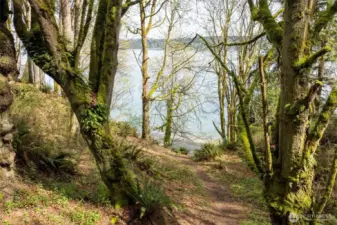 Trail down to the water