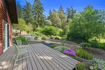 The ADU on  M st. is it's own little world, set behind the main residence just enough to allow privacy and it's own back yard sanctuary. patio and mature plantings make for an ideal rental or longer term guest quarters. Self containted and stylish to boot.