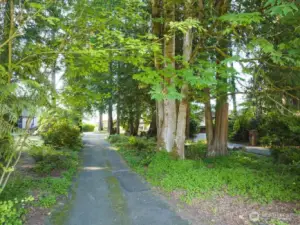 Beautiful treelined entry offers privacy.