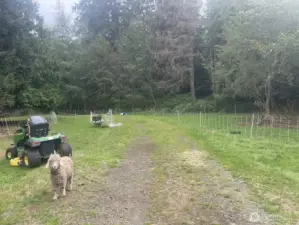 Nice flat acres