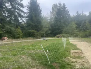 Room for livestock and gardens