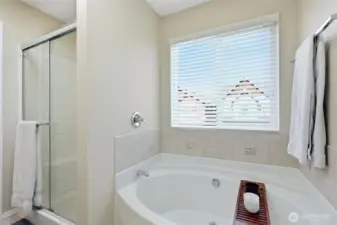 Large soaking tub and glass-door walk-in shower provide inviting options for daily care and relaxation, with amazing natural light as well.