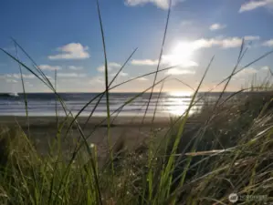 Beach life