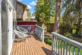 Lower Deck