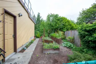 Side yard with raised gardens