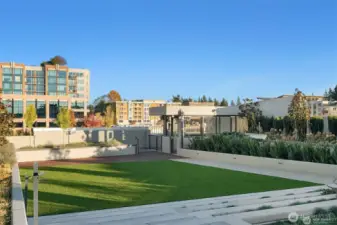 Rooftop Dog playland
