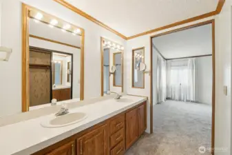 Primary bath. Not pictured is the large walk-in closet