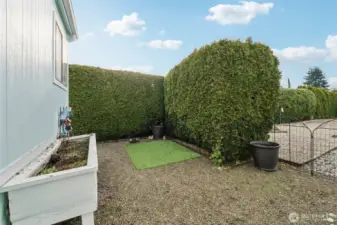 Semi-private yard area